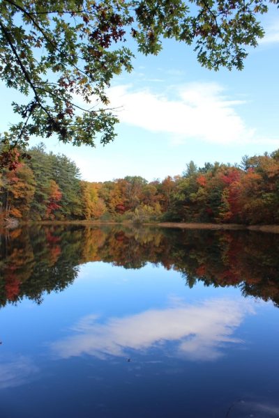 Ice Lake Nature Preserve