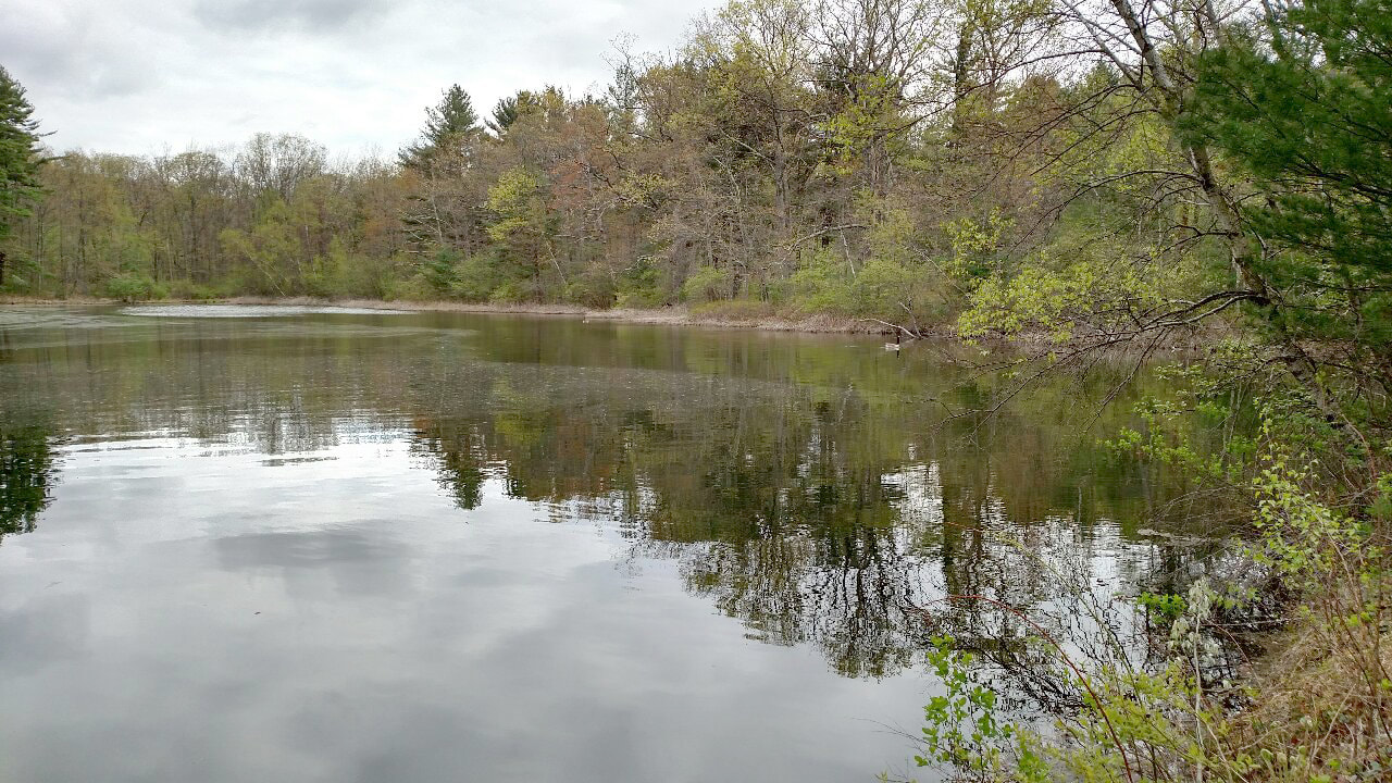Ice Lake Nature Preserve Ice Lake Nature Preserve
